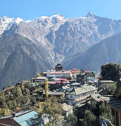 Delhi to Shimla Tempo Traveller